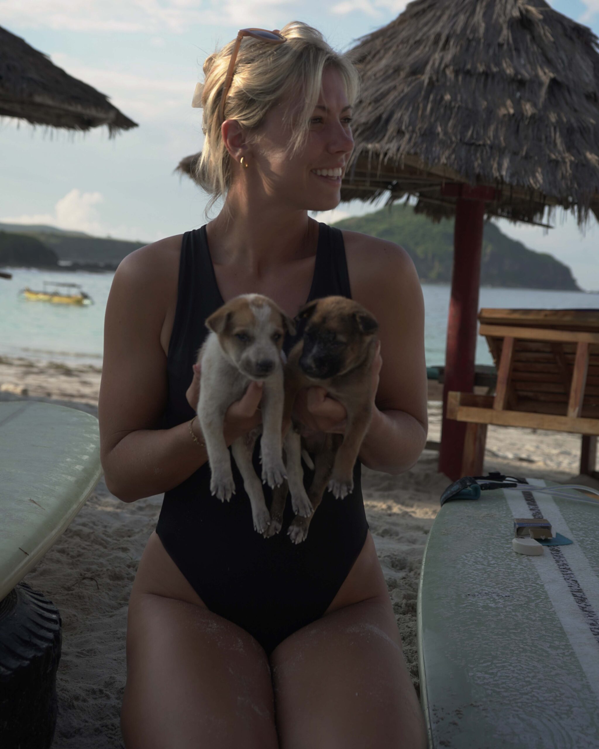 emma and dogs